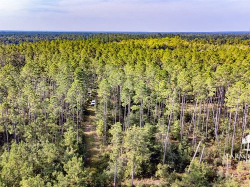 30 Ac Homesite or Development Tract : Marianna : Jackson County : Florida