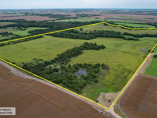 Olbrich's Pond Creek Farm : Rosebud : Falls County : Texas