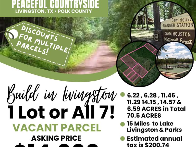 5 to 70.5 Acres in East Texas : Livingston : Polk County : Texas
