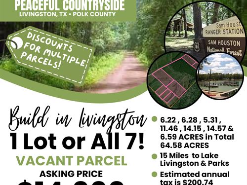 5 to 64.58 Acres in East Texas : Livingston : Polk County : Texas