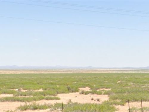 10 Acres of Desert Grassland : Columbus : Luna County : New Mexico