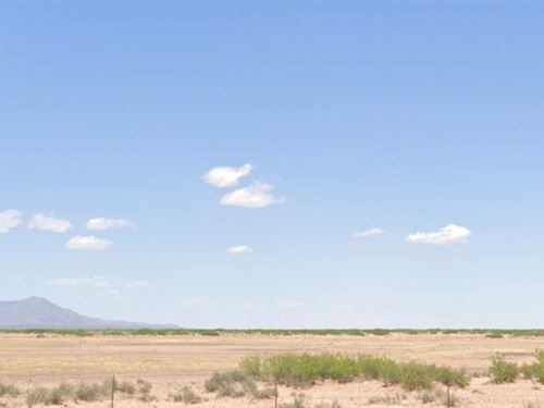 10 Acres of Flat Grassland : Columbus : Luna County : New Mexico
