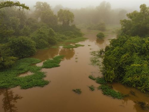 1,304 Acres With A Cabin In Madison : Pickens : Madison County : Mississippi