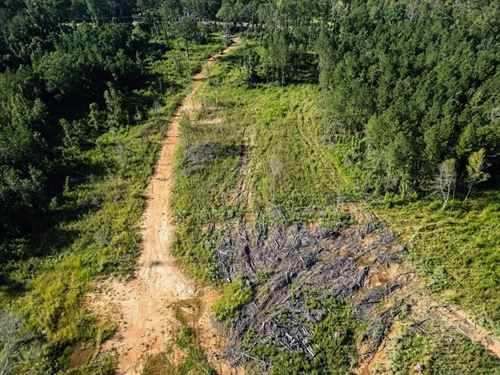 Gloster MS Hunting & Investment : Gloster : Amite County : Mississippi