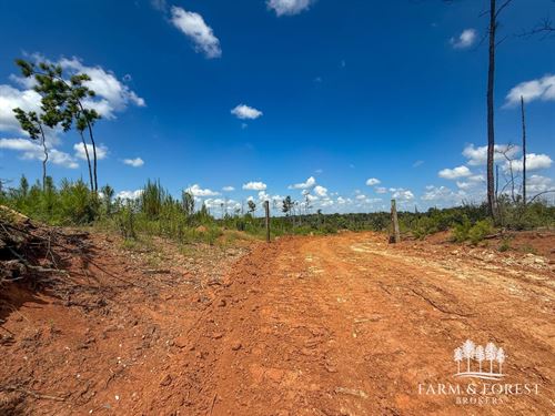 22 Ac Coffee Co, Jack Tract 4 : Jack : Coffee County : Alabama