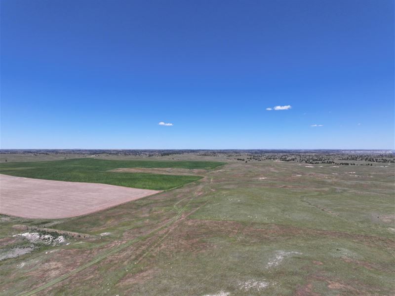 615 Acres, Cheyenne County Farm : Potter : Cheyenne County : Nebraska