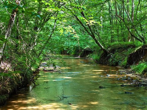 Arrowhead Acres 59 Unrestricted : Bassett : Henry County : Virginia