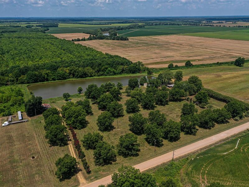 Quitman County 62 Acres : Sledge : Quitman County : Mississippi