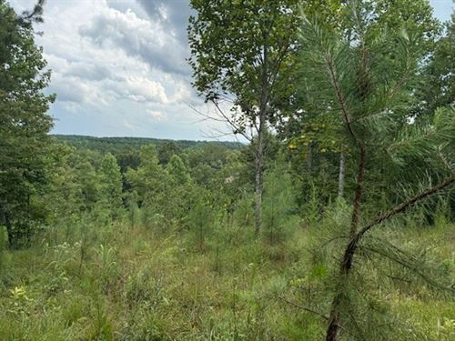 188 Acres Beautiful, Wooded Prope : South Pittsburg : Marion County : Tennessee
