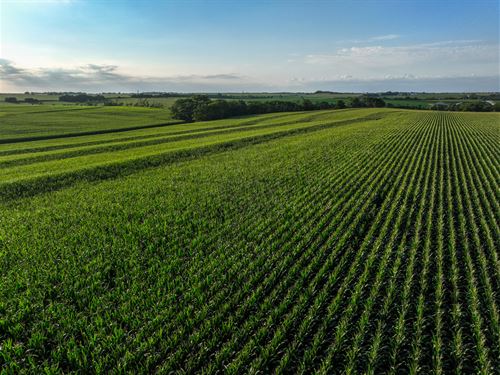 Cass County Dryland 40 : Murdock : Cass County : Nebraska