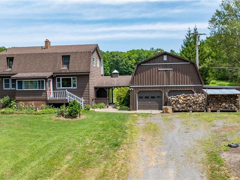 Organic Blueberry Farm and Home : Greene : Chenango County : New York