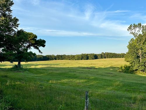 76 Acres County Rd 67 : Andalusia : Covington County : Alabama