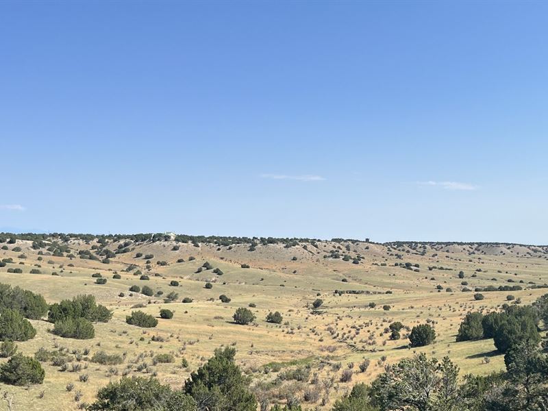 Sunflower Lane : Pueblo : Pueblo County : Colorado