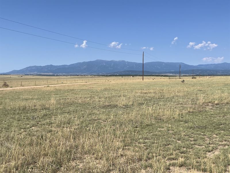 Sunflower Lane : Pueblo : Pueblo County : Colorado