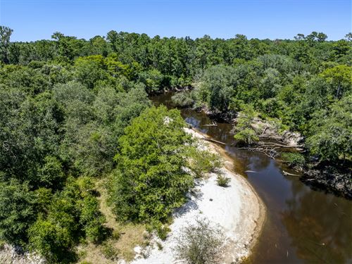 Little River Timber and Hunting : Hahira : Lowndes County : Georgia