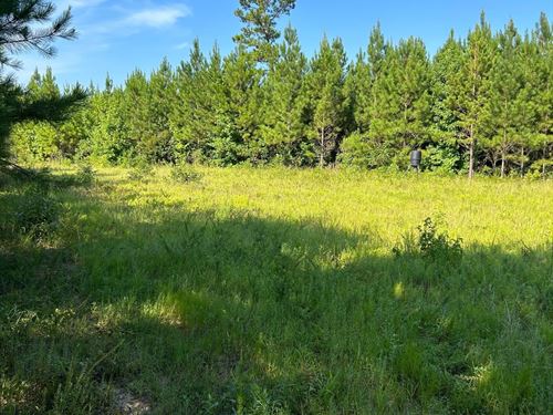 21-016 Furlong Creek Tract : Georgiana : Conecuh County : Alabama