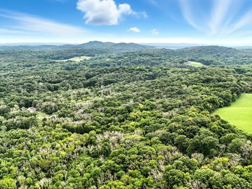 48-Acre Private Countryside Retreat : Arrington : Rutherford County : Tennessee