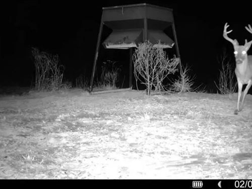 Catahoula Parish 290 Acres Hunting : Harrisonburg : Catahoula Parish : Louisiana