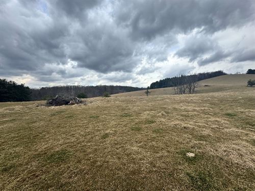 97 Acre Farm with Gorgeous Views : Ennice : Alleghany County : North Carolina