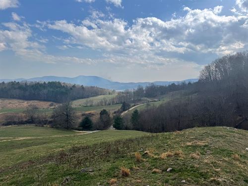110 Acre Cattle Farm in Elk Creek : Elk Creek : Grayson County : Virginia