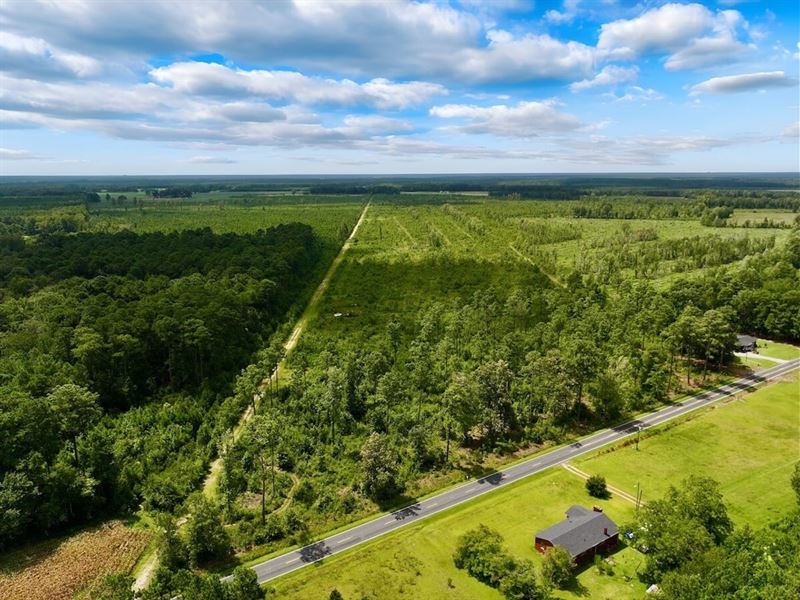 166 Acres of Hunting and Planted Ti : Vanceboro : Craven County : North Carolina