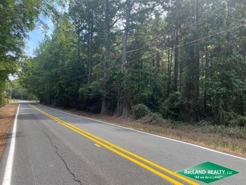 13.3 Ac, Timberland in City Limits : Hefflin : Webster Parish : Louisiana