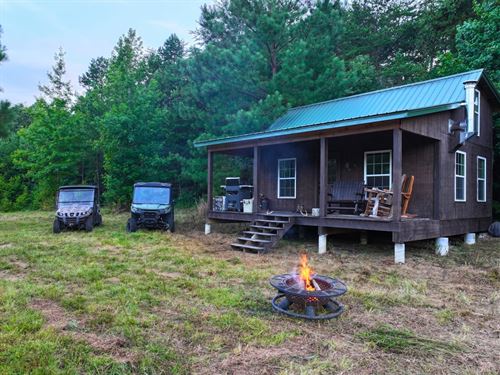 The Back Forty-One 41 Wooded Ac : Virgilina : Halifax County : Virginia