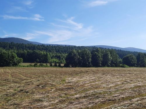 116 Acres In Scott County, AR : Waldron : Scott County : Arkansas