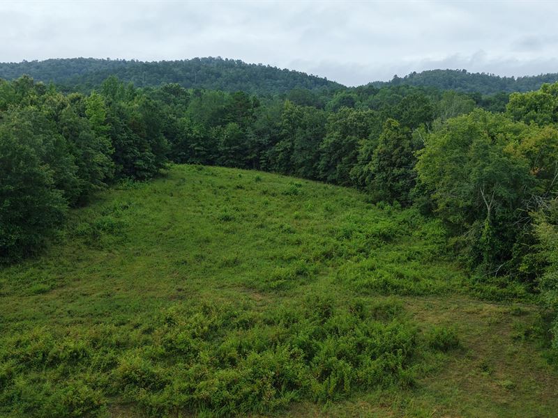 150 Acres in Montgomery County, AR : Oden : Montgomery County : Arkansas