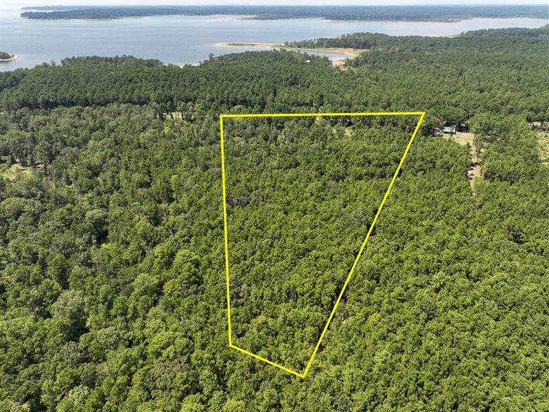 11 Acres, FM 3173 : Broaddus : San Augustine County : Texas