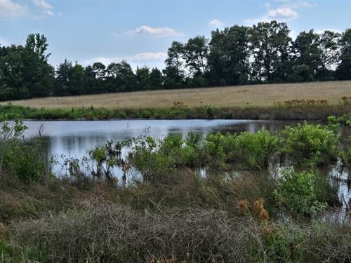 27.5 Pasture With Pond Hwy 16 & Wes : Quitman : Cleburne County : Arkansas