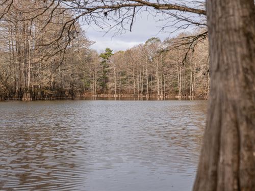 Leaf River Hunting & Timber : McLain : Greene County : Mississippi