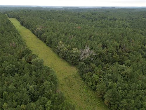 265 Acres Pickens County, AL : Gordo : Pickens County : Alabama