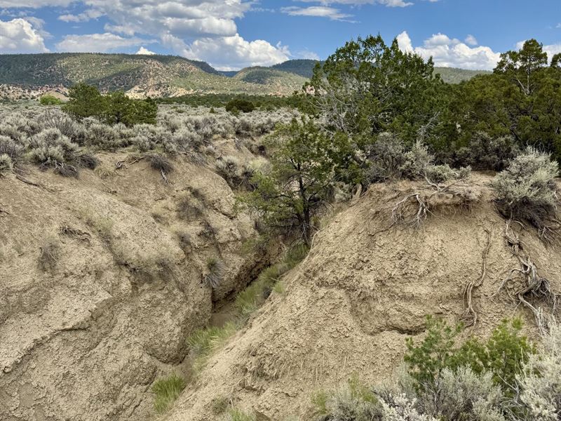 Ellistancia 17 : Cuba : Sandoval County : New Mexico