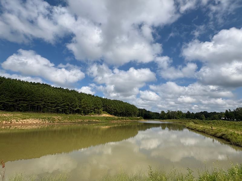 122 Itawamba County, MS : Fulton : Itawamba County : Mississippi