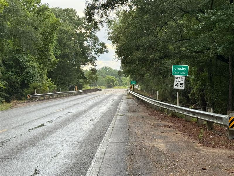 312 Acres in Amite County, MS : Crosby : Amite County : Mississippi