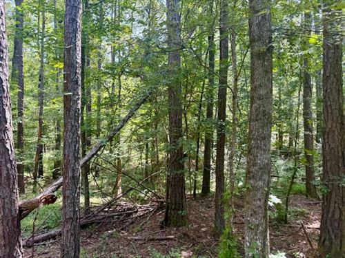 39.08 Darrington Rd, Crosby, MS : Crosby : Wilkinson County : Mississippi