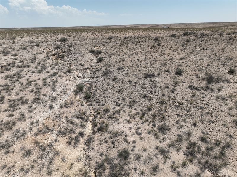 Massive Buildable 45.36 Acres : Cornudas : Hudspeth County : Texas