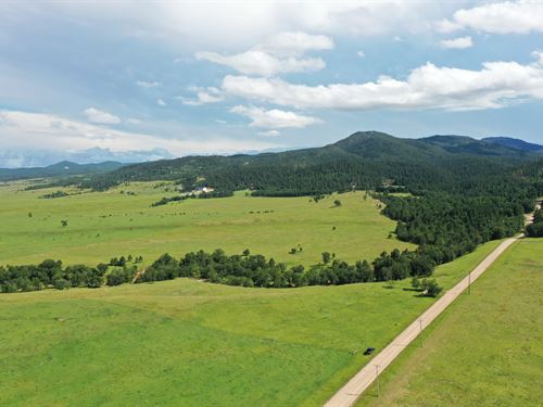 Miller Creek Meadows : Spearfish : Lawrence County : South Dakota