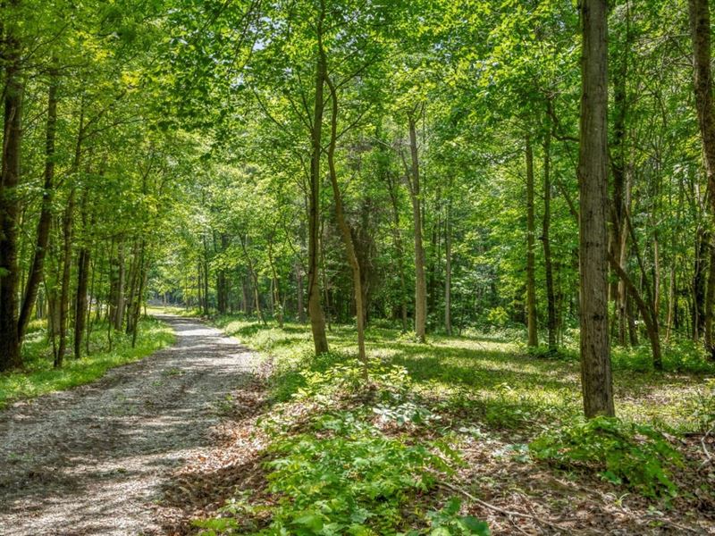 Potts Hill Rd, 13 Acres : Bainbridge : Pike County : Ohio