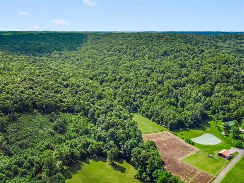 Schmidt Rd, 52 Acres : Bainbridge : Pike County : Ohio