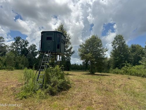 148 Acre Timberland Hunting Homesit : Brookhaven : Lincoln County : Mississippi
