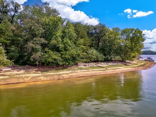 Level Cherokee Lakefront Lot : Mooresburg : Hawkins County : Tennessee