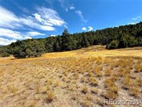 Private 10 Acre Retreat : Howard : Fremont County : Colorado