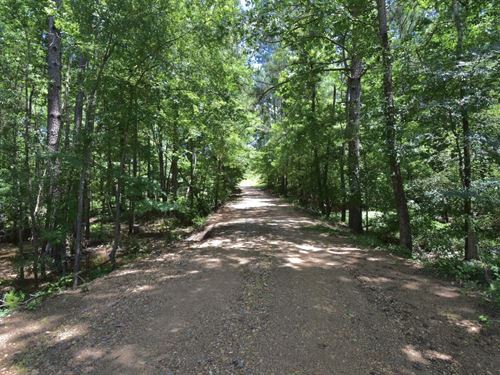 118 Acres in Magnolia, Arkansas : Magnolia : Columbia County : Arkansas