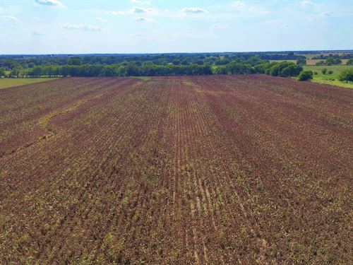 Gainesville TX Undeveloped Land : Gainesville : Cooke County : Texas