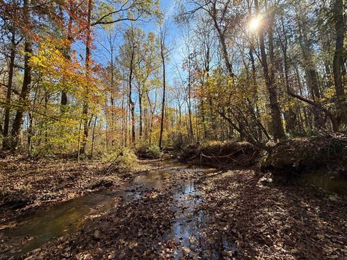 36.28 Acres, Lee County, AL : Opelika : Lee County : Alabama