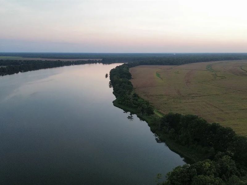 738 Acres in Bolivar County in Beno : Benoit : Bolivar County : Mississippi