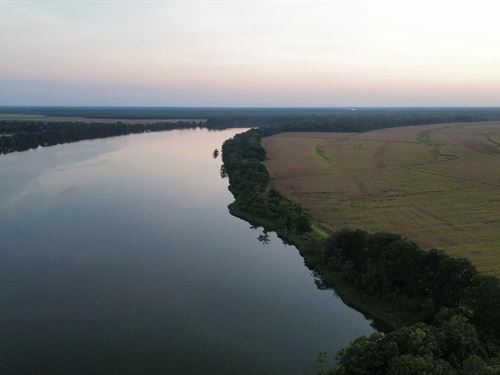 738 Acres in Bolivar County in Beno : Benoit : Bolivar County : Mississippi