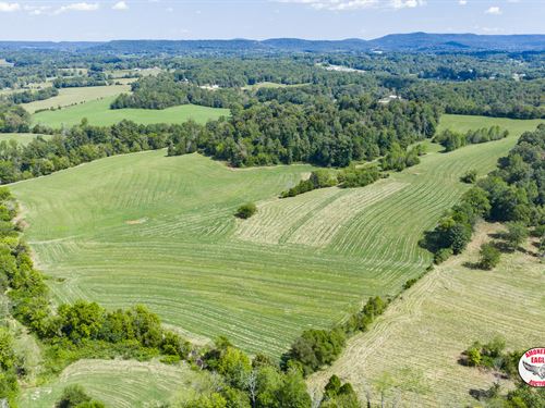 Prime 218 Ac., Farm and Homes : Livingston : Overton County : Tennessee